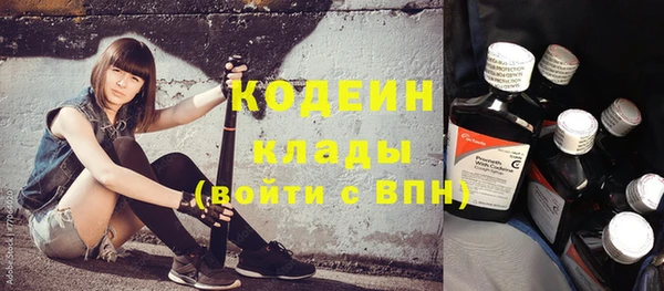 прущие крисы Надым